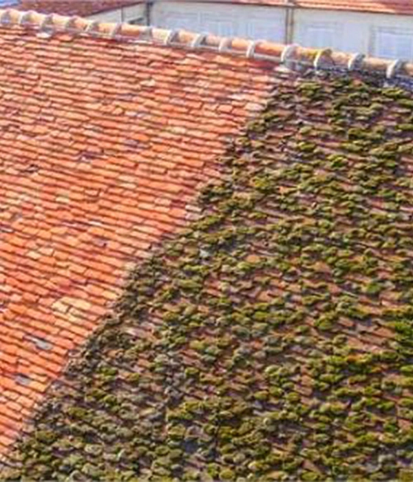 Démoussage de toiture à Toulouse Démoussage de toiture à Toulouse