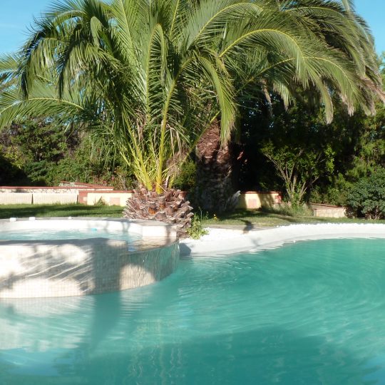 000-piscine-originale-luxe-lagon-piscines-hdp